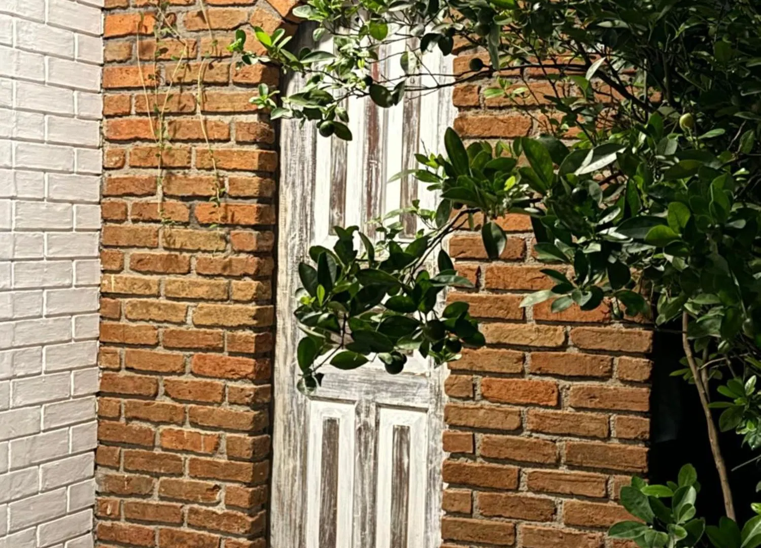 The Branch B&B Negombo 0*,  Srí Lanka
